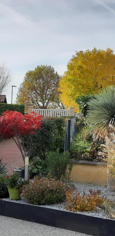 Ma Maison Fleurie Proche Aeroport Lyon St Exupery, Ldlc Arena, Groupama Stadium,Eurexpo Janneyrias Exterior foto