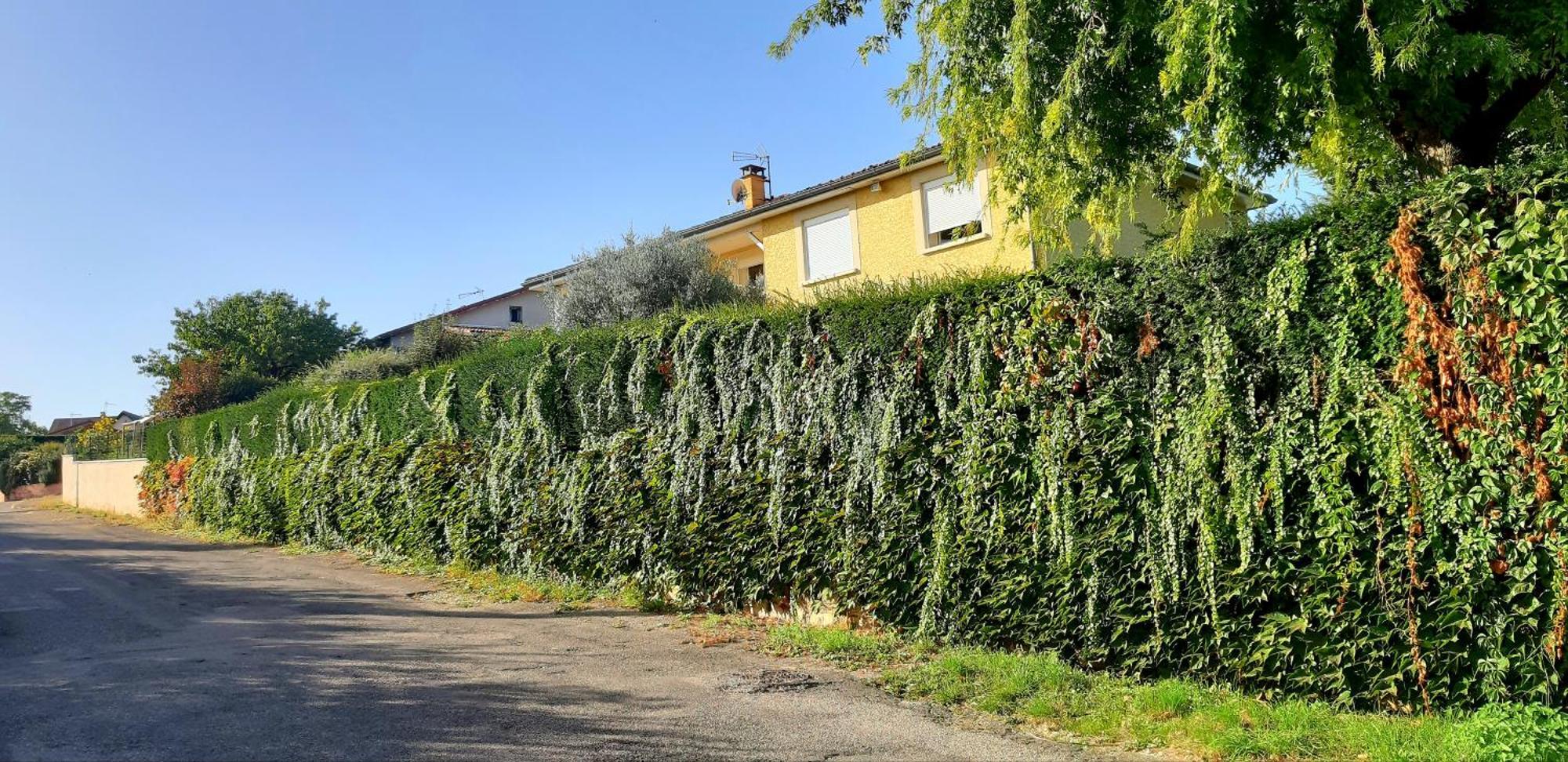 Ma Maison Fleurie Proche Aeroport Lyon St Exupery, Ldlc Arena, Groupama Stadium,Eurexpo Janneyrias Exterior foto
