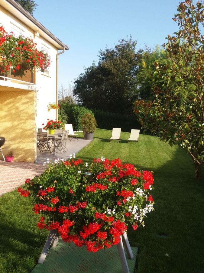 Ma Maison Fleurie Proche Aeroport Lyon St Exupery, Ldlc Arena, Groupama Stadium,Eurexpo Janneyrias Exterior foto