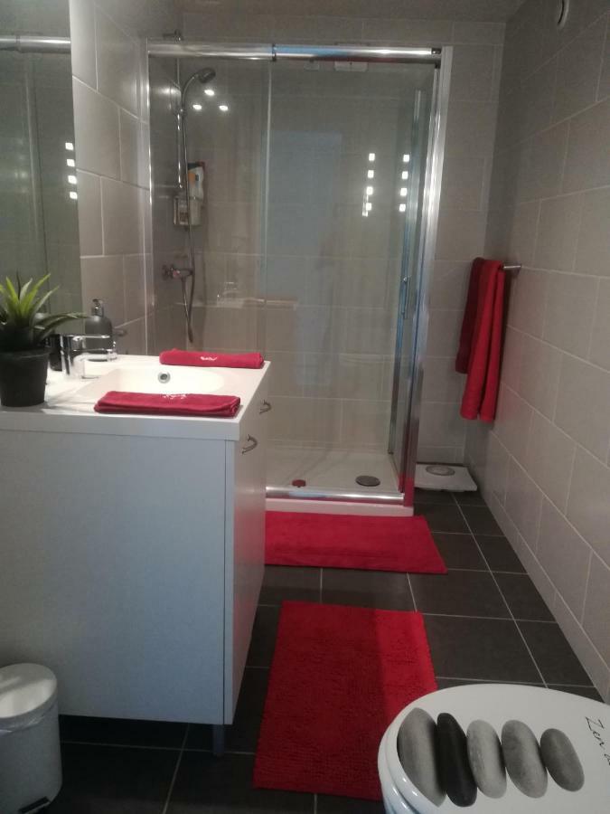 Ma Maison Fleurie Proche Aeroport Lyon St Exupery, Ldlc Arena, Groupama Stadium,Eurexpo Janneyrias Exterior foto